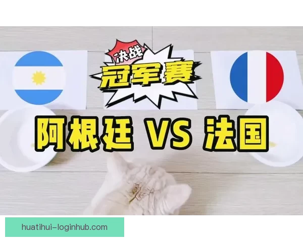 世界杯精彩对决全程预测与胜负走势深度解析指南